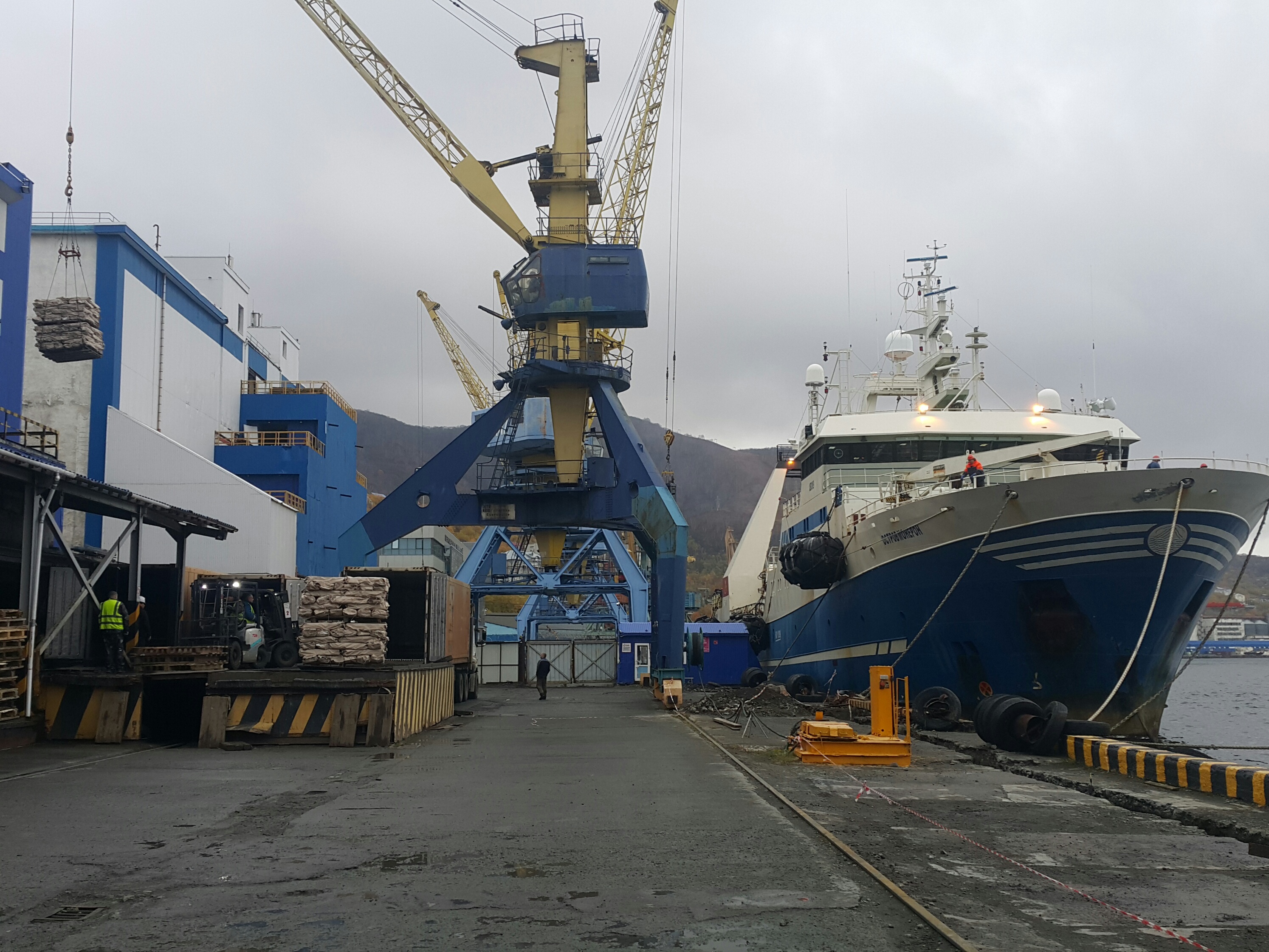 Цифровая трансформация рыбной отрасли: 78% разрешений на вылов оформляются в Приморье в электронном формате