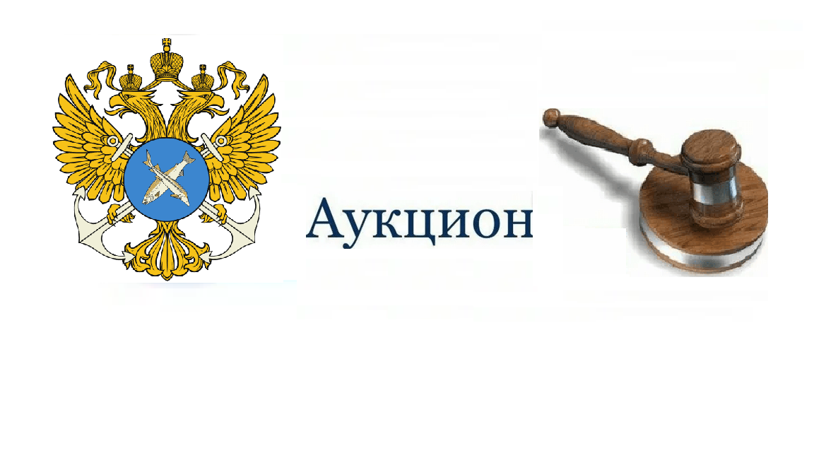 Извещение о проведении аукциона в электронной форме по продаже права на заключение договора пользования рыболовным участком для осуществления промышленного рыболовства в отношении анадромных и катадромных видов рыб.