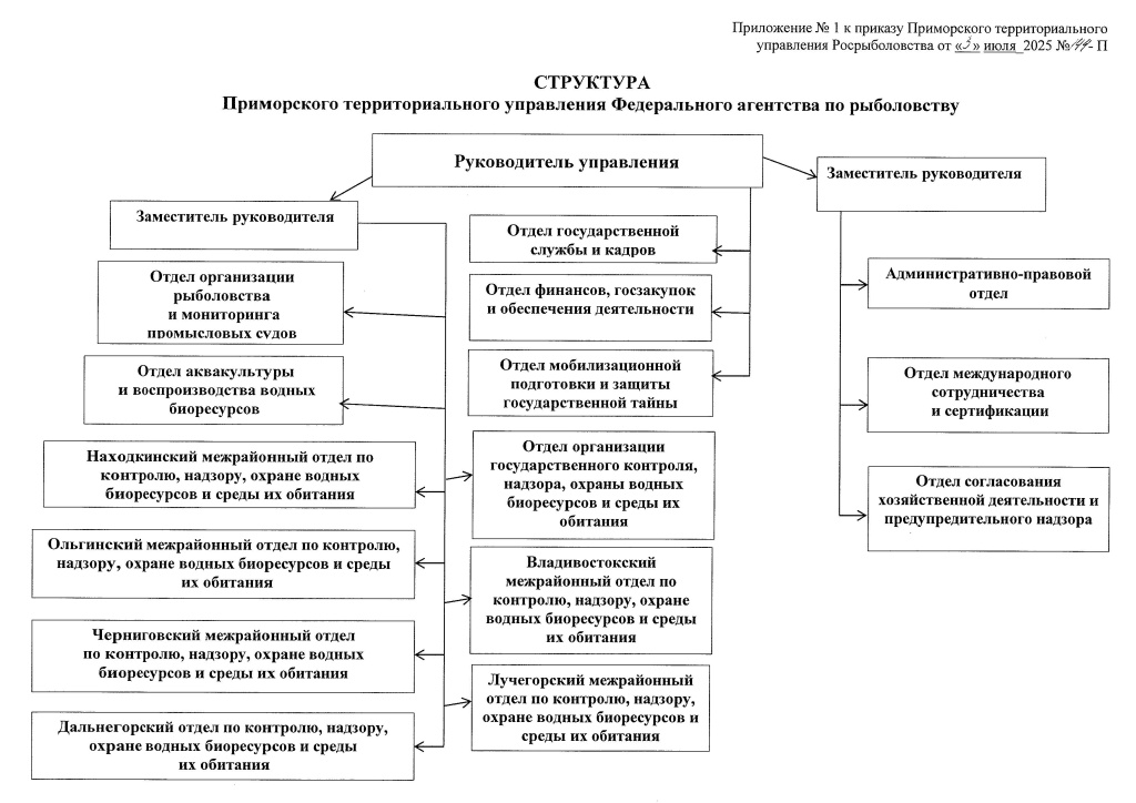 Структура Управления 1.jpg