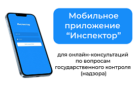 Мобильное приложение «ИНСПЕКТОР»